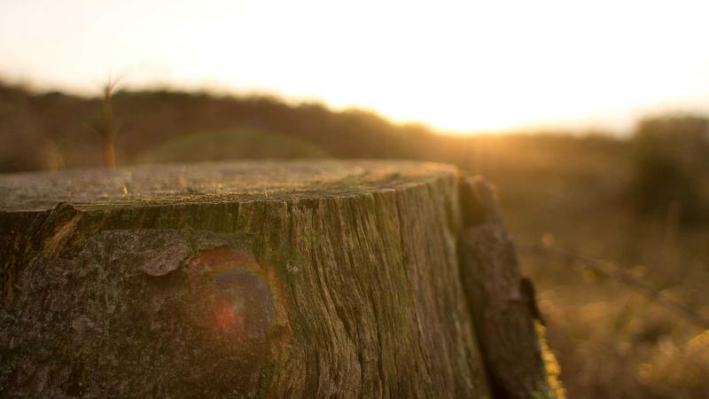 Microsoft Surface Pro 11 Keyboard