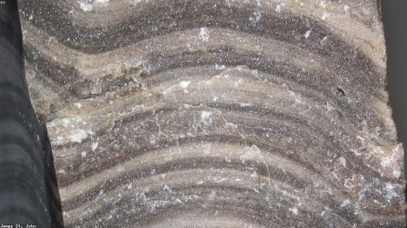 Vi khuẩn kháng thuốc dưới kính hiển vi