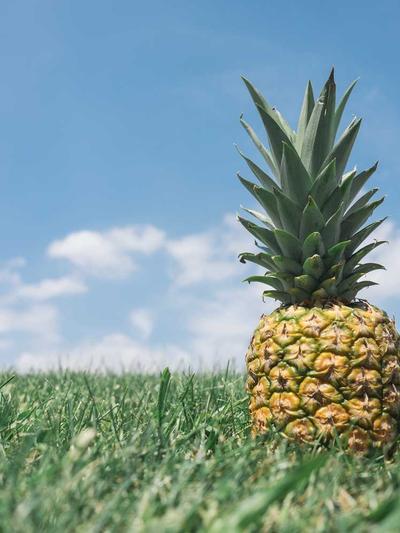 Băng đô mắt lụa Premium