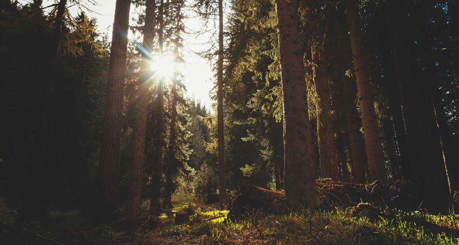 Hoạt động tại xưởng làm slime