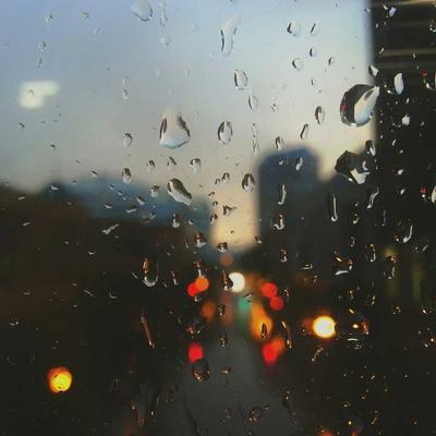 Kokedama thủy canh 2026