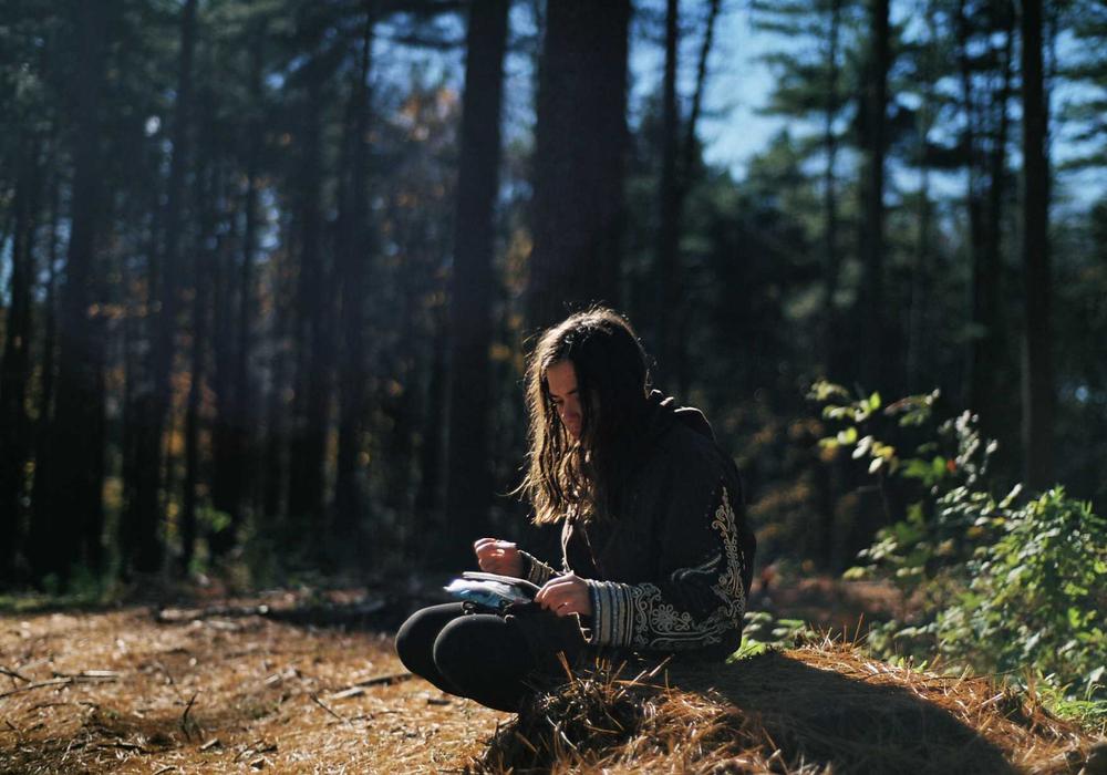 Quá trình hái lượm thảo mộc 2026