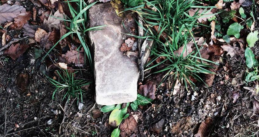 Lớp học Yoga Metaverse 2026