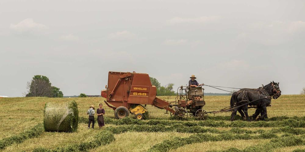 Thiết bị y học hiện đại 2026