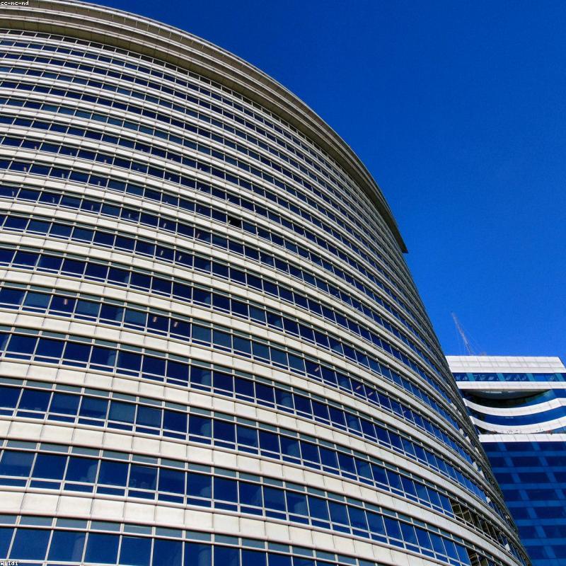 Kệ Sách Gỗ Trang Trí Hiện Đại Elite-B06