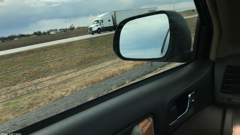 Mèo hạnh phúc sau khi grooming