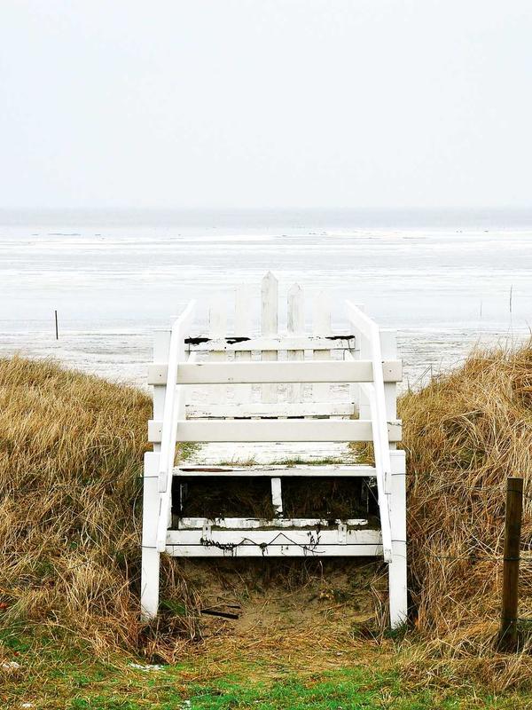 Bubble Pudding Monster