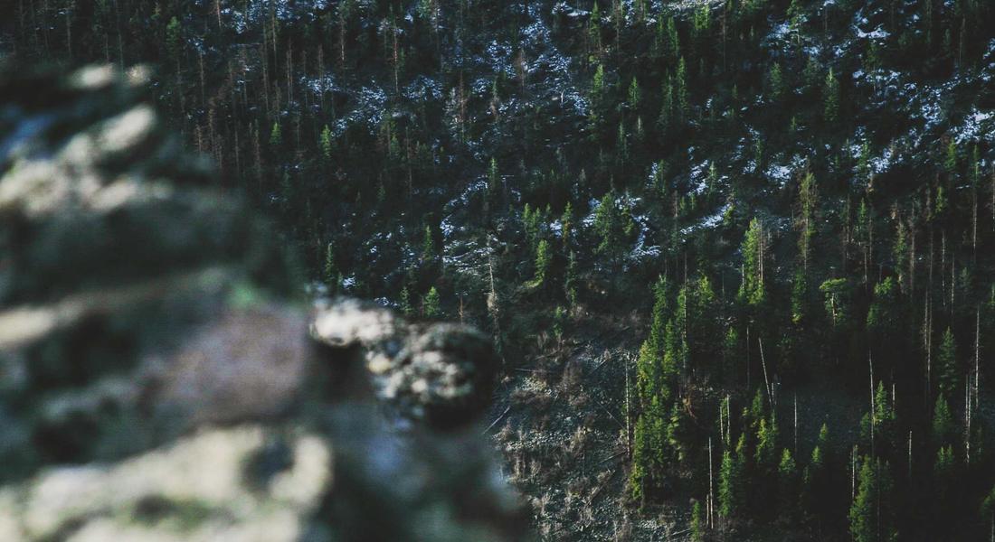 Không gian spa đá muối 2026