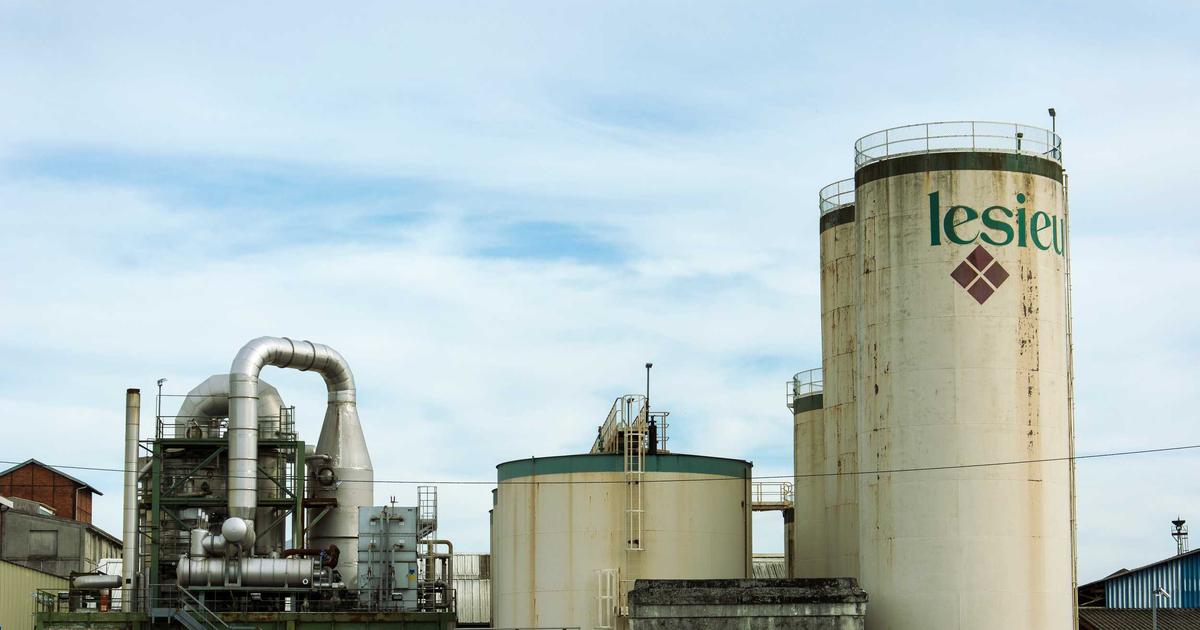 Hướng dẫn 7 bước chăm sóc tóc nhuộm và uốn bền màu, chắc khỏe ngay tại nhà