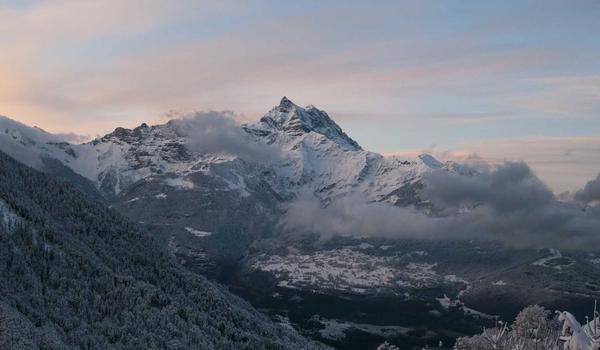 Eco cleaning supplies