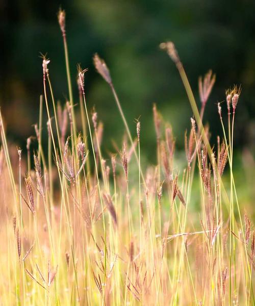 Phân tích dữ liệu AI