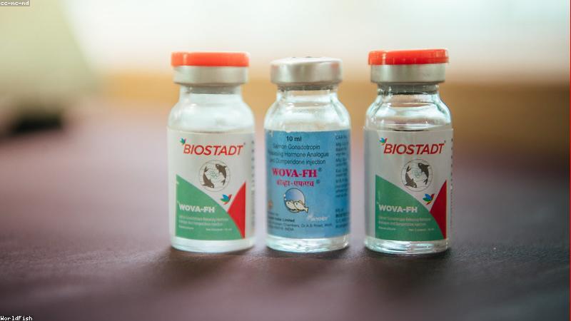 Thảo dược tự nhiên trong TPCN