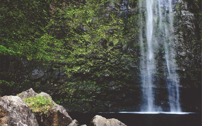 Hospital Affiliation