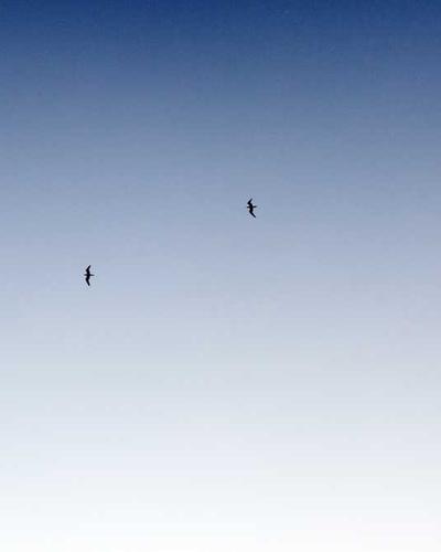 Kỹ năng mềm 2026