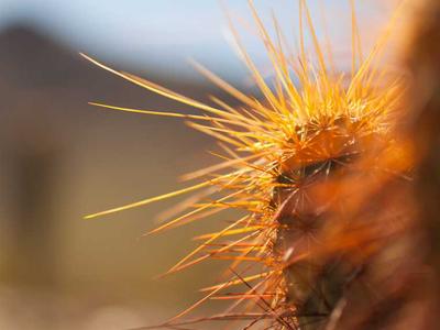Giá đỡ chân Cloud