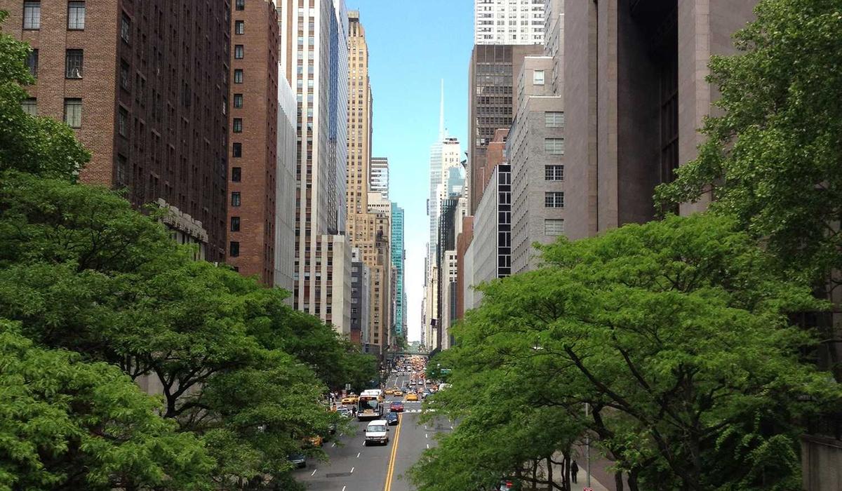 Success of 2026 Program