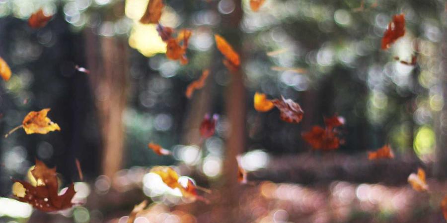 Hồ bóng thông minh 2026 cho bé