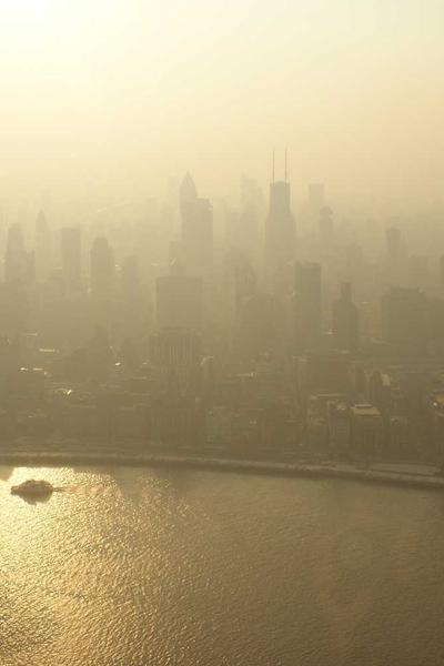 Dụng cụ chải chuốt 2026