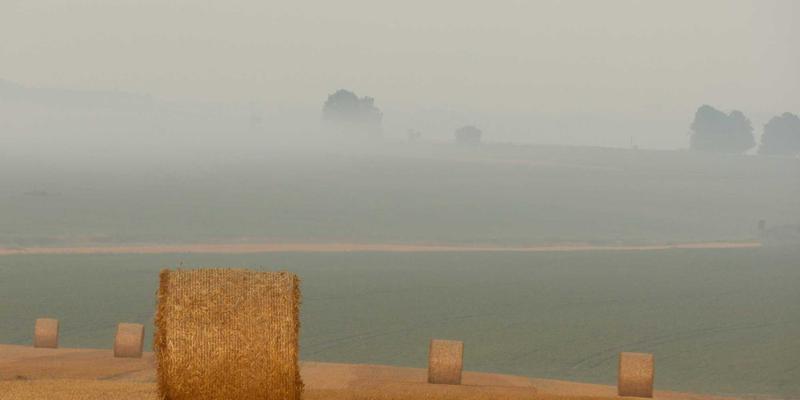 User Workflow Screenshot