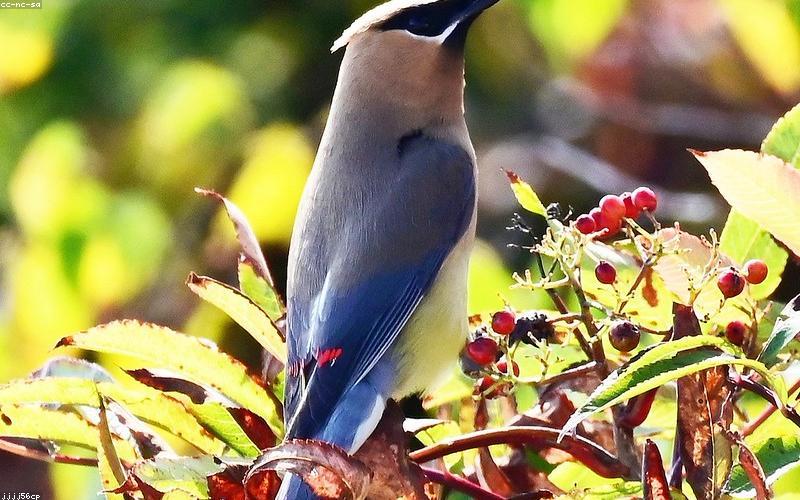 Close up of fashion details and accessories
