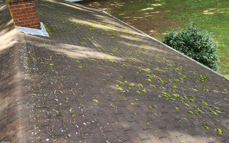 Bảo hiểm và bảo vệ