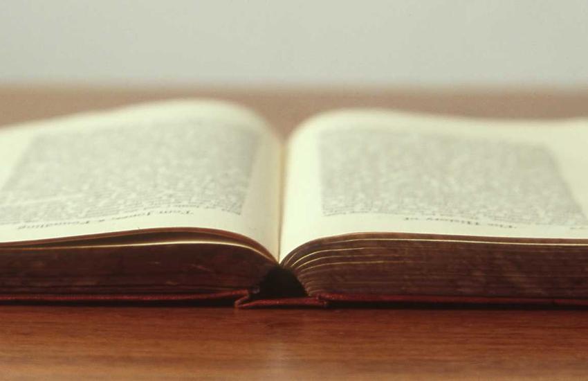 Nghệ thuật trình bày món thuần chay 2026