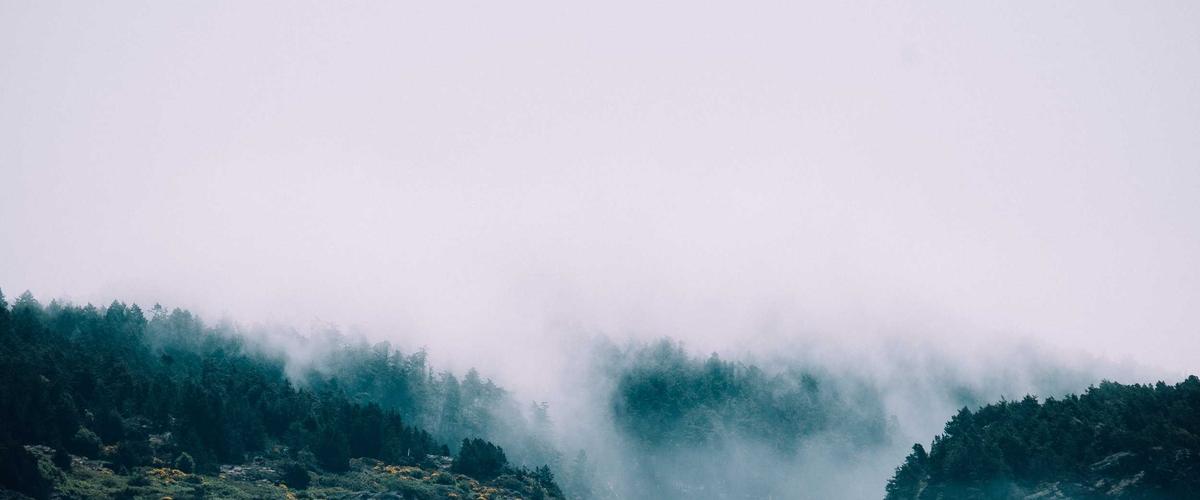 Trải nghiệm viết thư pháp 2026