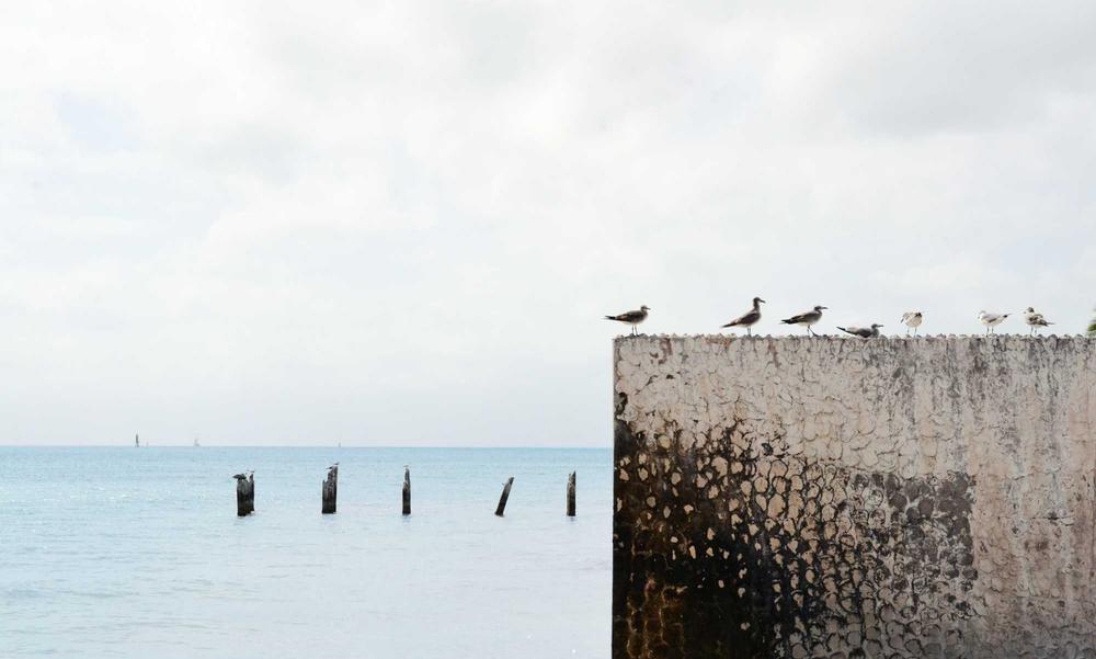 So sánh điện thoại 2026 và máy tính bảng cho đồ họa 3D