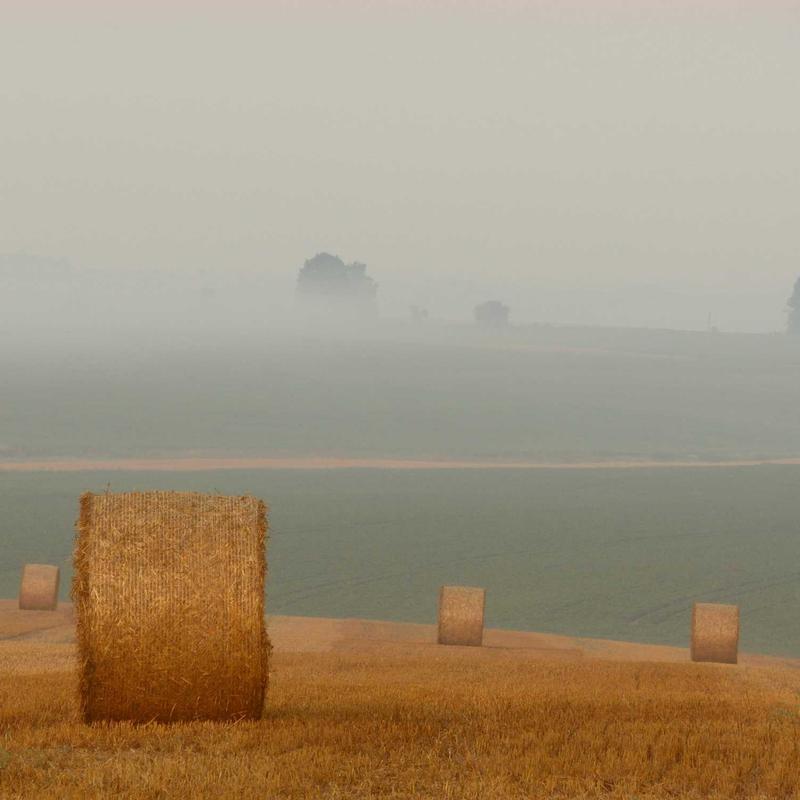 Truyền thống vs Công nghệ