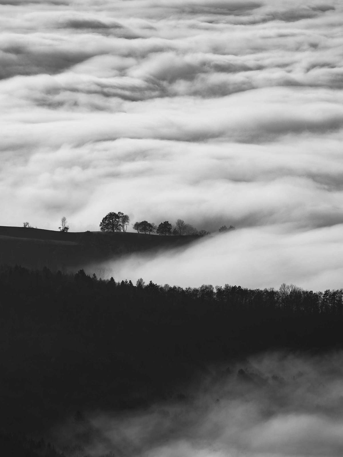 Fashion Design Collage