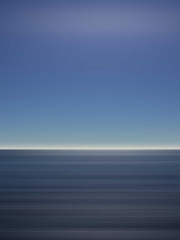 Nghiên cứu tế bào gỗ gụ 2026