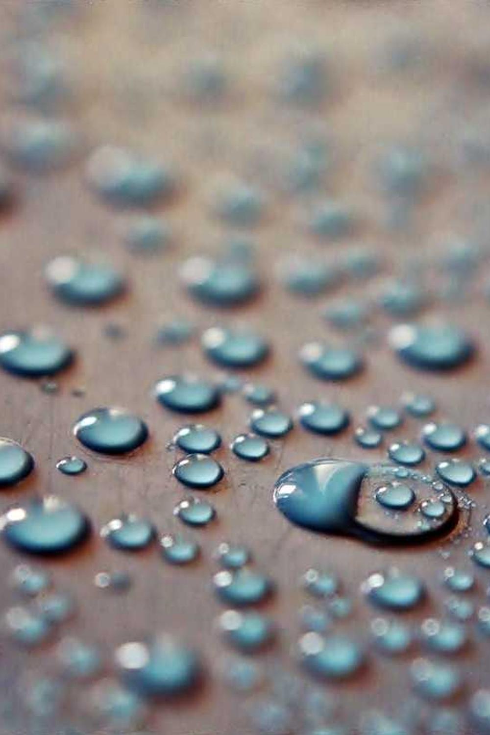 Giám định cổ vật