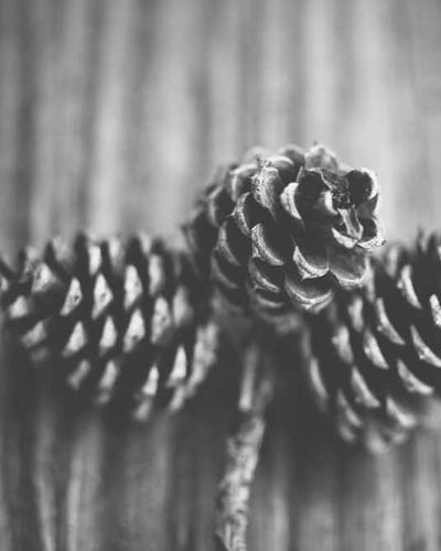 Phụ kiện sơ sinh 2026