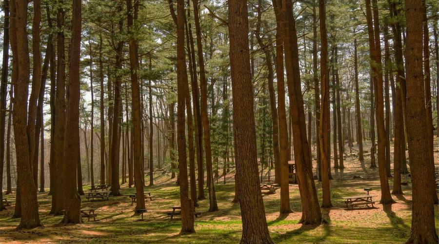 Công nghệ tre biến tính Nano