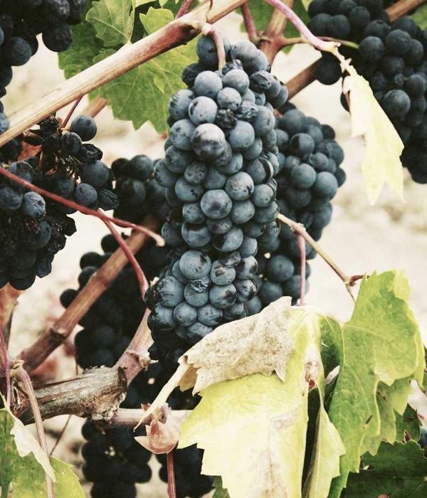 Multi-layered treatment