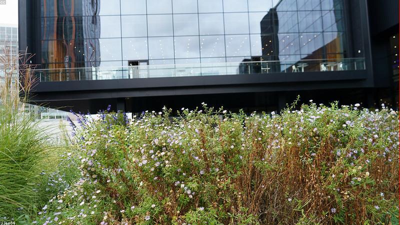 Tài chính xanh bền vững