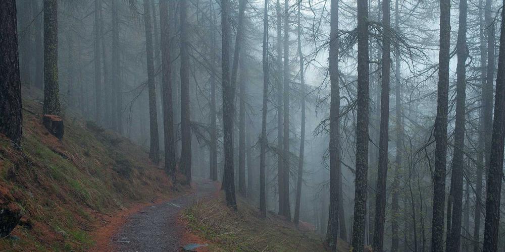 Tối ưu hóa hạ tầng kỹ thuật website