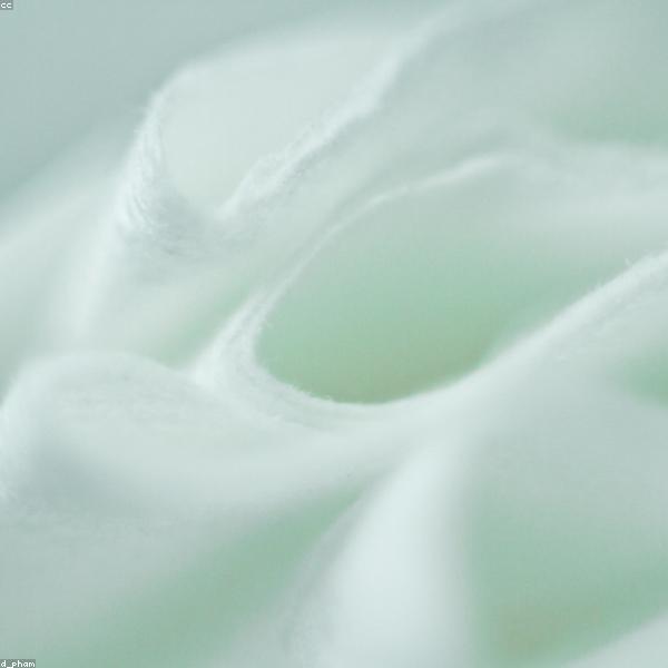 Nature Digital Harmony