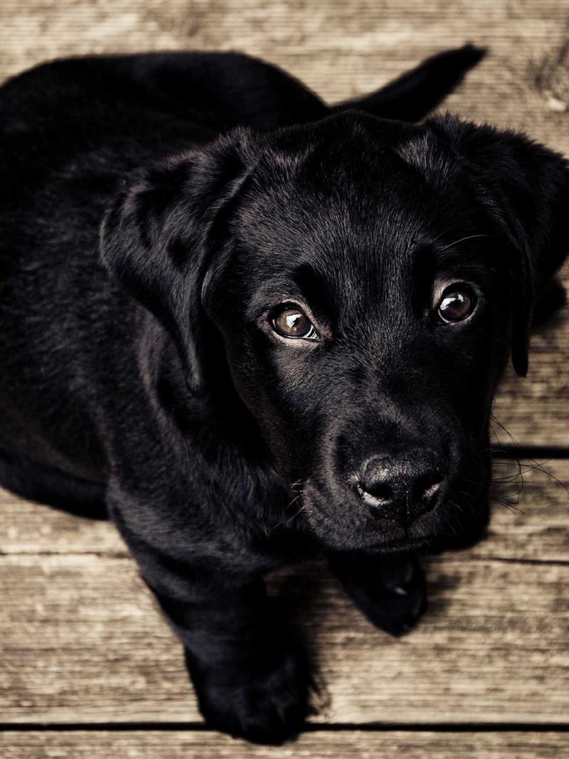 Fashion Editorial Nails