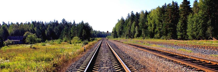 Topping trà sữa 2026