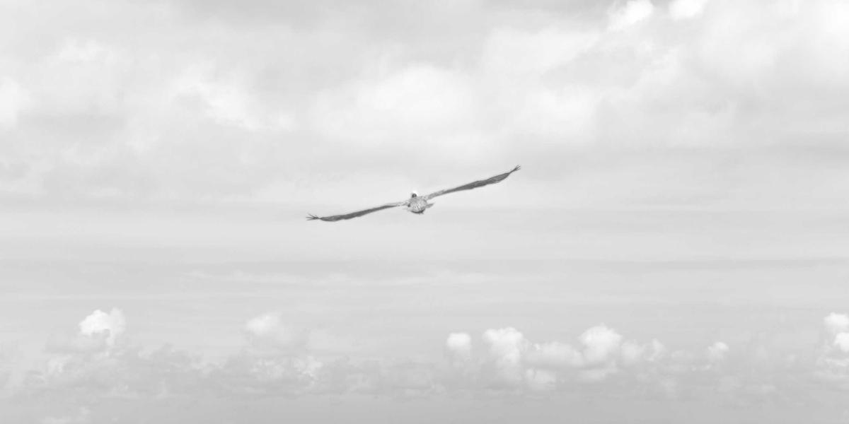 Predictive User Behavior 2026