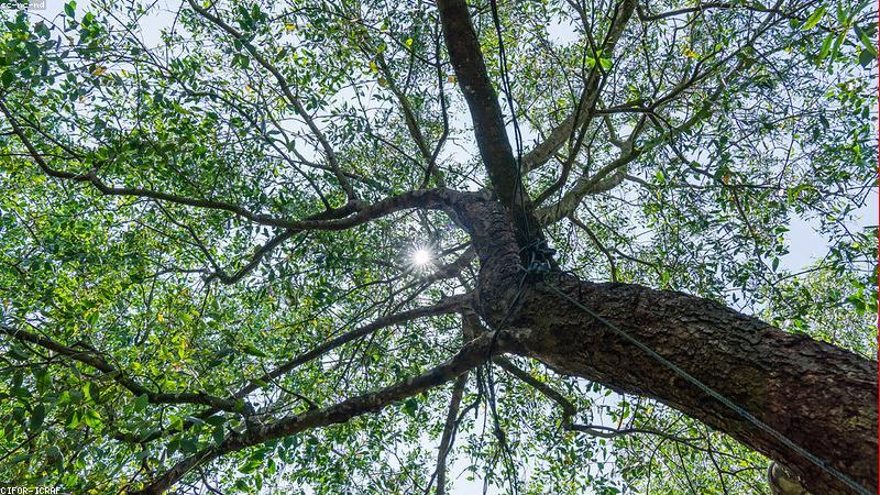 Phòng ngủ thông minh cho bé