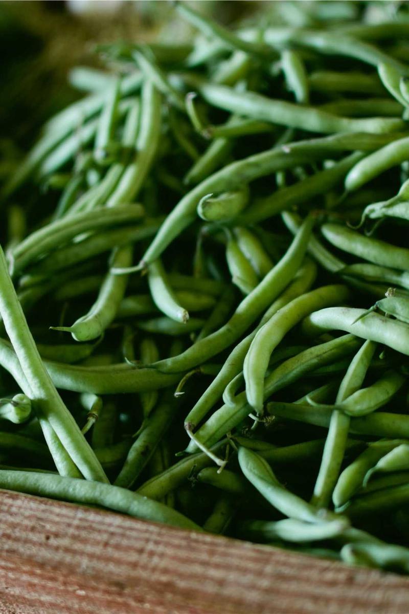 Detail microscopic hair