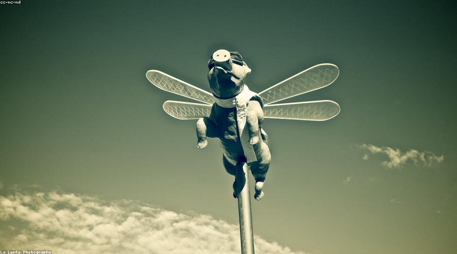 Lễ hội văn hóa thế giới