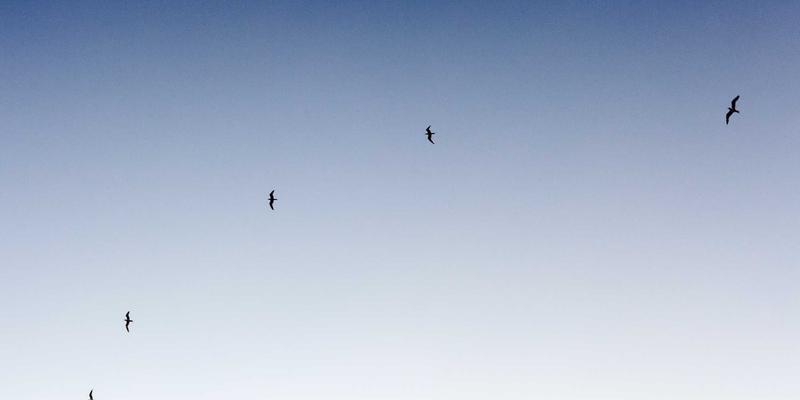 Lựa chọn tối ưu