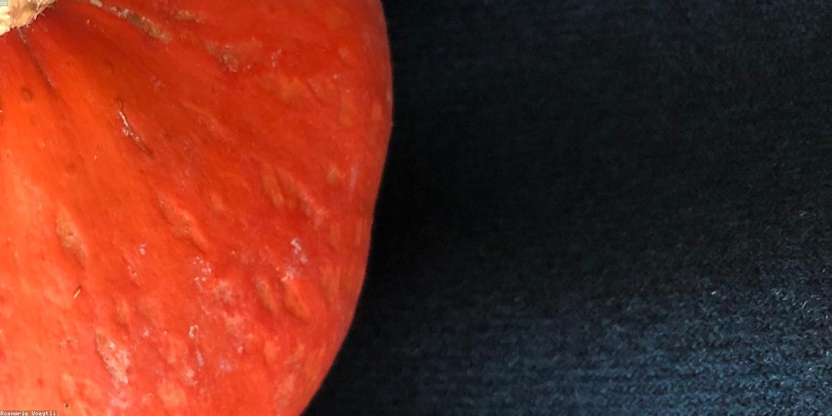 Chế độ dinh dưỡng lành mạnh cho thú cưng