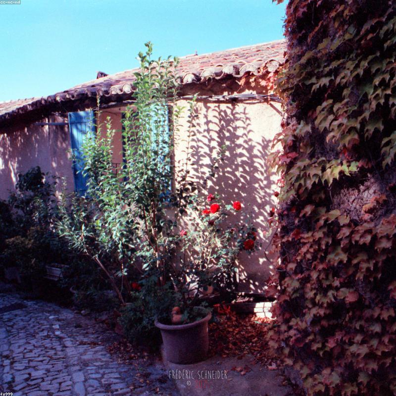 Máy Scan Canon LiDE 300