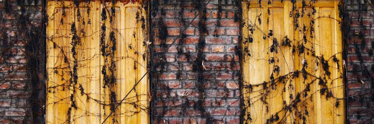 Kết thúc bài viết phong cách tối giản