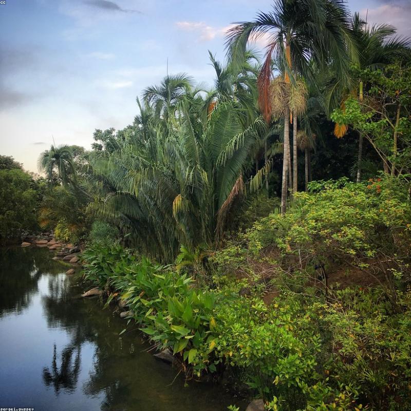 Máy hút sữa điện đôi Spectra S1 Plus