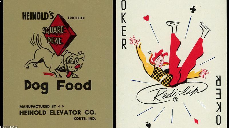 Chó cưng và sự lựa chọn thức ăn